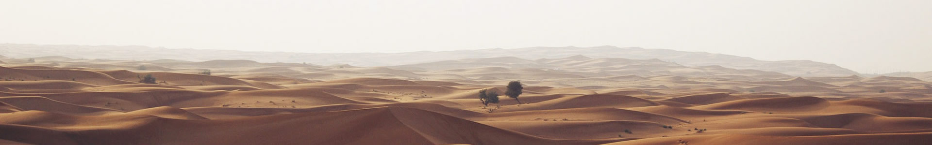 ݿ¾ܻе޹˾